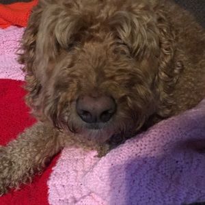 Meet your Posher, Meghan